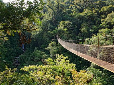 Boquete Canopy Bridge, Panama