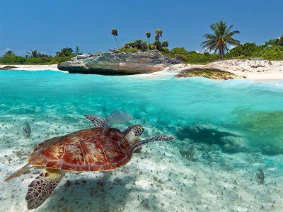 Playa Akumal, Riviera Maya