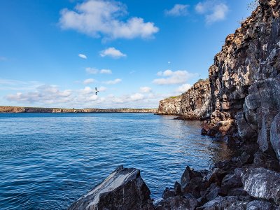 Darwin Bay Galapagos