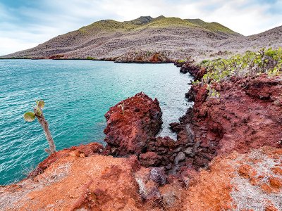 Santiago Island Galapagos