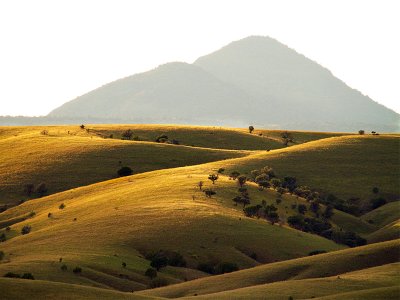 Chihuahua hills