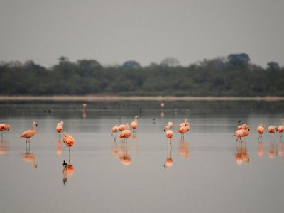 Campo Maria Paraguay