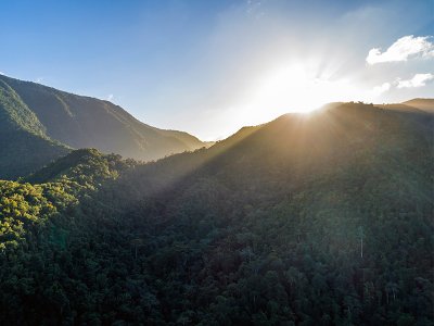 Mayan mountains