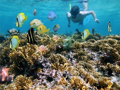 Snorkelling on reef