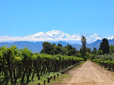 Mendoza