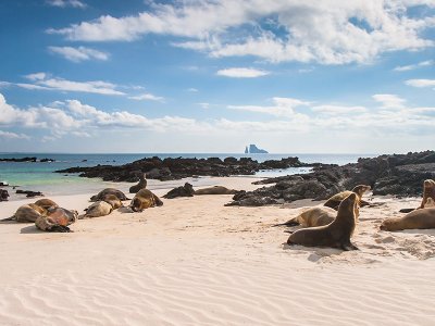 Galapagos South America