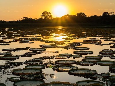 Pantanal sunset