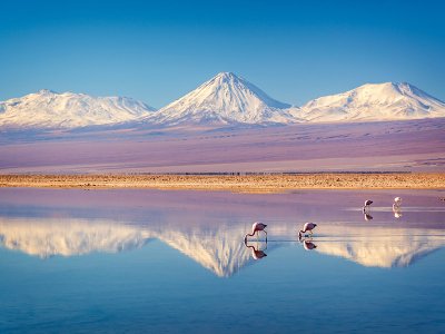 Atacama Lagoon