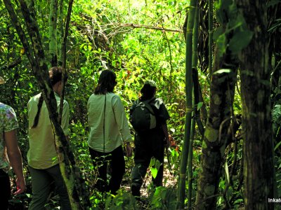 Peruvian Amazon 4