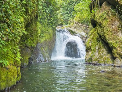 Mindo Cloud Forest