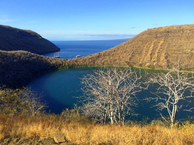 Galapagos Discovery6