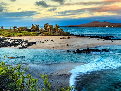 Galapagos landscape