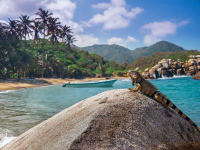 Tayrona National Park