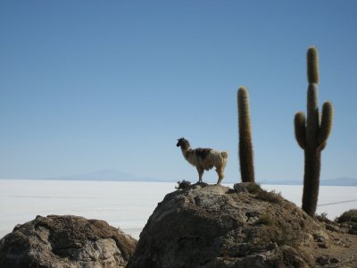 Bolivia Holidays