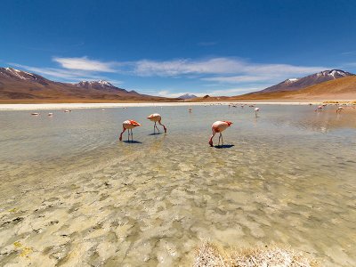 Hedionda Lagoon in Siloli