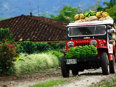 Colombia Coffee Region