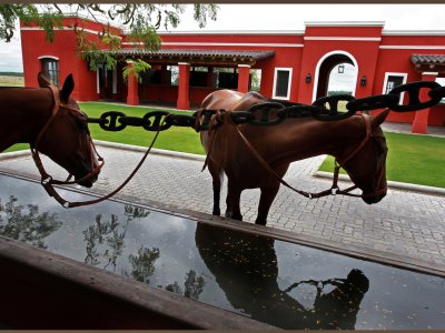 La Bamba de Areco - Argentina