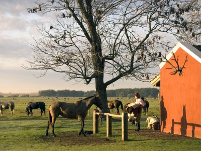 La Bamba de Areco - Argentina