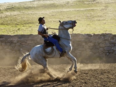 Estancia Los Potreros - Argentina