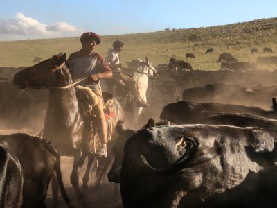 Estancia Los Potreros - Argentina