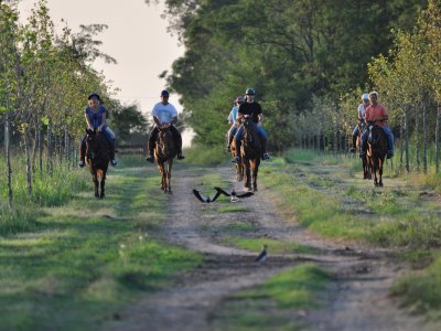 Estancia La Sofia - Argentina