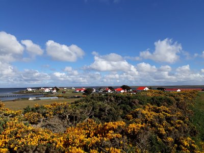 Falkland Islands Holidays