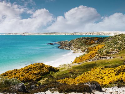 Falkland Islands