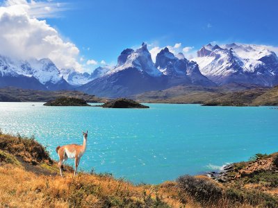 Patagonia