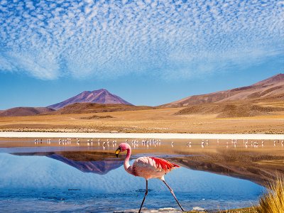 Atacama Lagoons