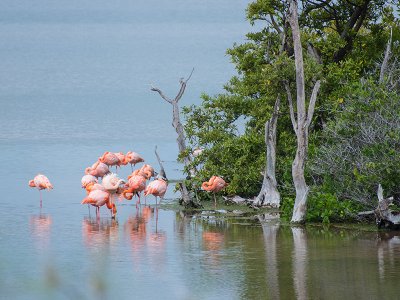 Floreana, Galapagos