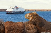 8 Day North & Central Galapagos