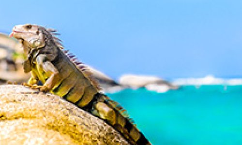 Tayrona National Park