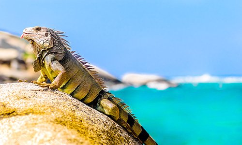 Tayrona National Park