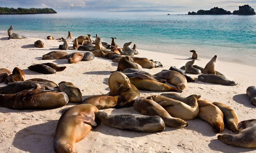 Galapagos Southern Loop