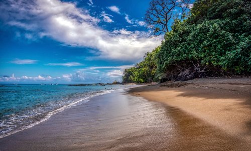 Corcovado National Park