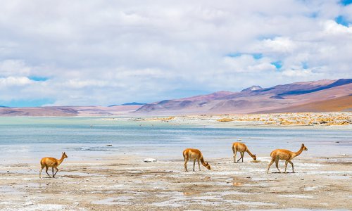 Uyuni, Bolivia