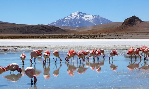 Uyuni