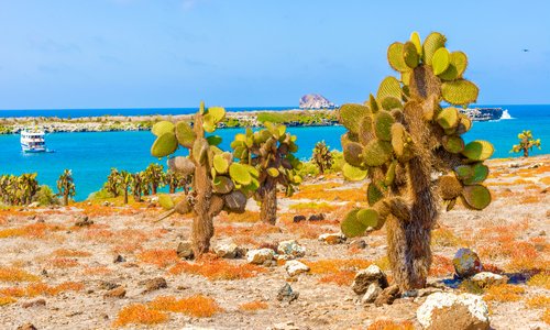 Santa Cruz Island