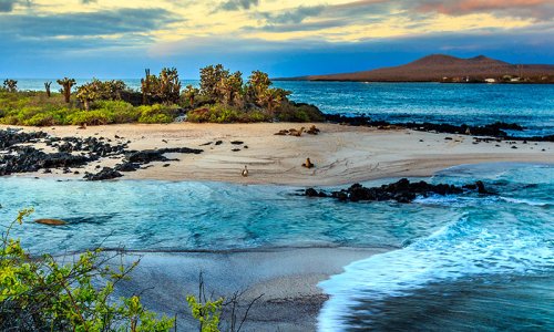 Galapagos Islands