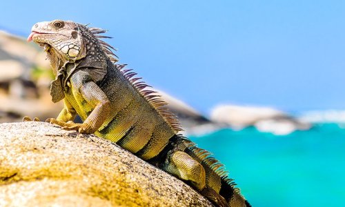 Tayrona National Park