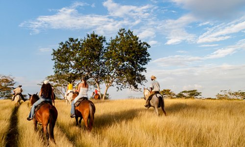 Colombia Horse riding