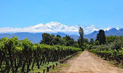 Mendoza