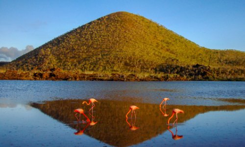 Floreana Island