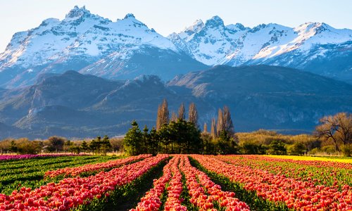 Welsh Patagonia