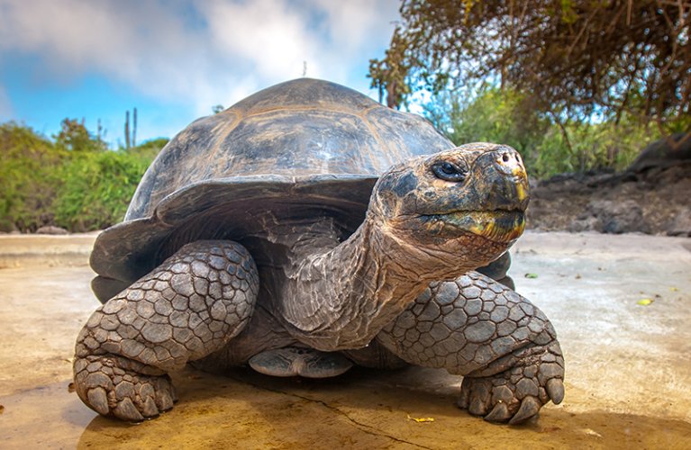 Holidays to Galapagos