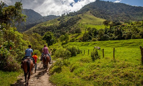 Horse Riding