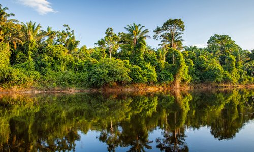 Suriname River