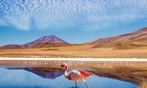 Atacama Salt Flats