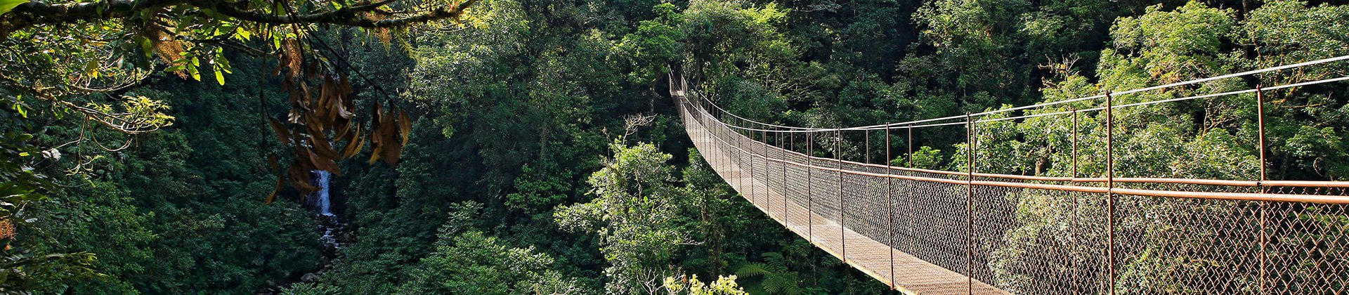 Canopy Bridge, Boquete, Panama