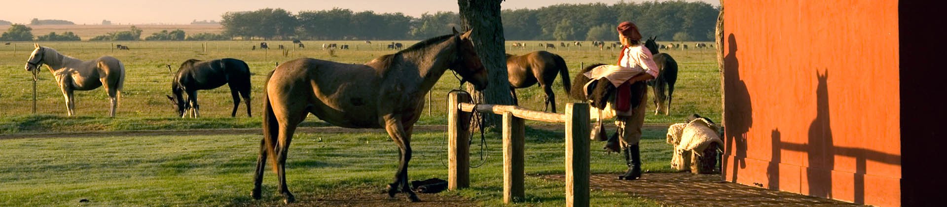 La Bamba de Areco